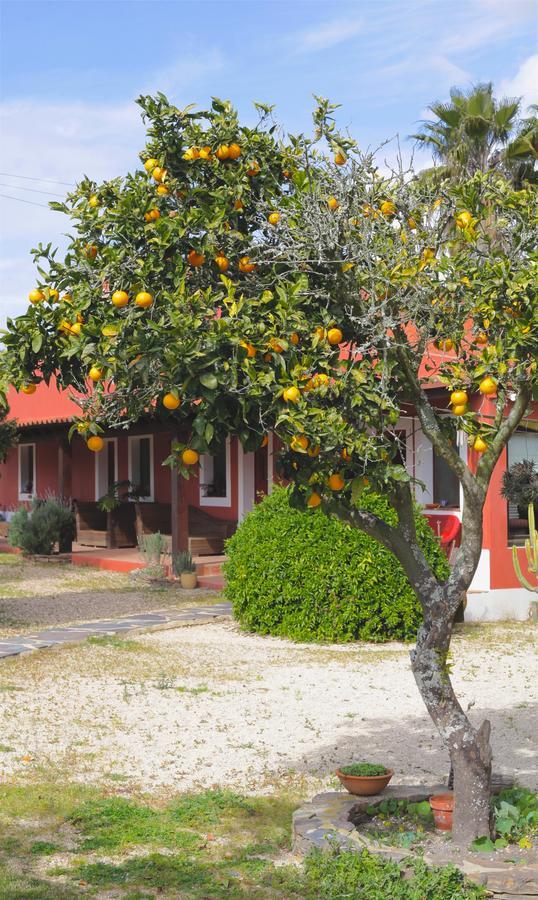 Affittacamere Monte da Xica - Somente Adultos Zambujeira do Mar Esterno foto